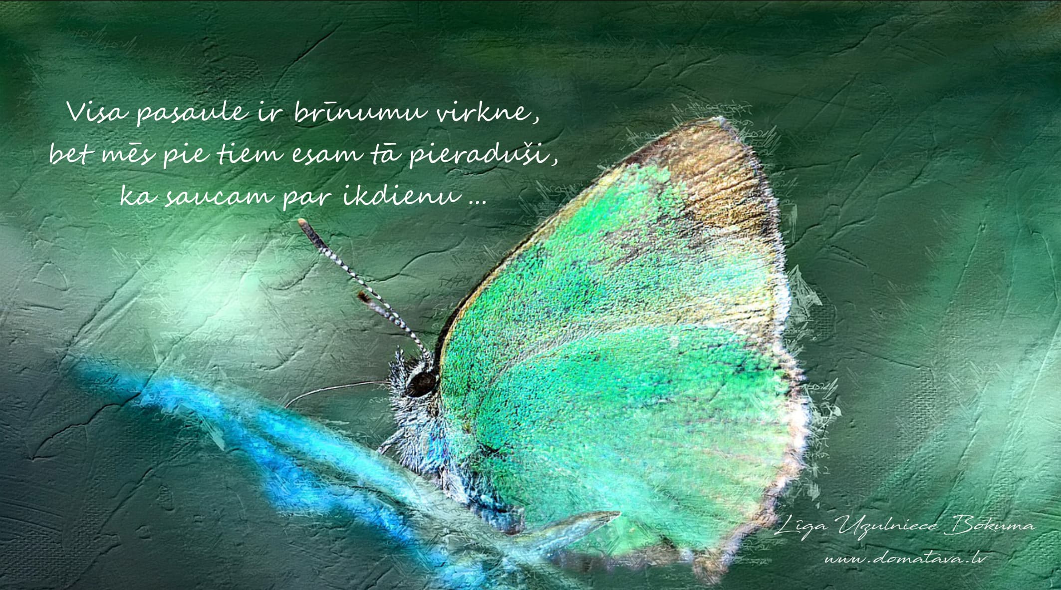 Brīnumi