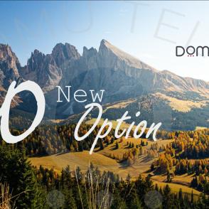 New Option