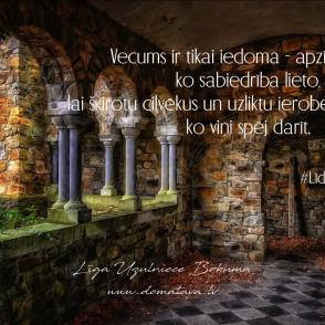 Vecums